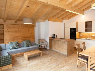Holiday house High-quality apartment with ski storage - Features photo 11