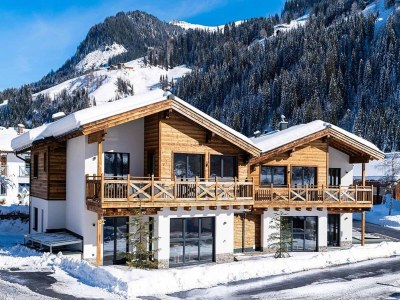 Holiday house Apartment in Kleinarl near Ski Slopes - Outdoor photo 3