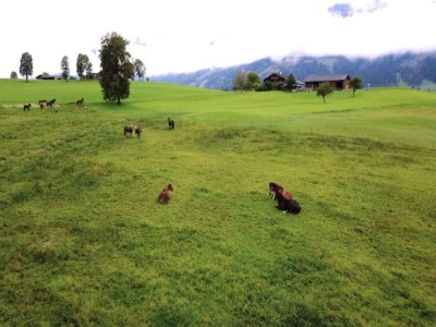 Holiday house Wohnung in Kleinarl nahe Skipisten - Environment photo 17