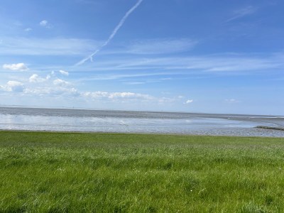 Holiday house Haus in de Marsch - Environment photo 13