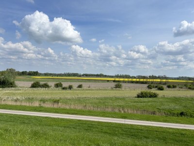 Holiday house Haus in de Marsch - Environment photo 14