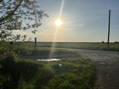 Holiday house Haus in de Marsch - Environment photo 16