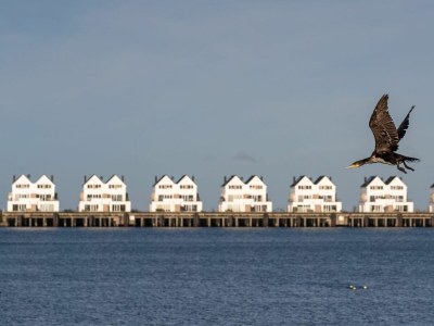 Holiday apartment Ferienwohnung Schlei & Meer Olpenitz - Environment photo 32