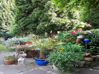 Holiday house Ferienwohnung nahe Wernigerode - Outdoor photo 6