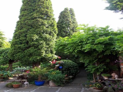 Holiday house Ferienwohnung nahe Wernigerode - Outdoor photo 7