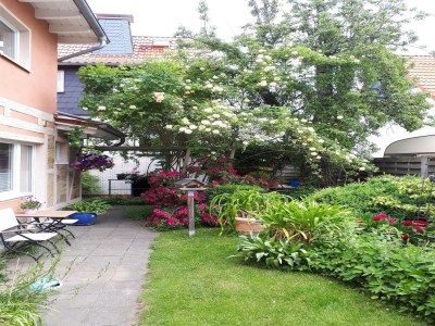 Holiday house Ferienwohnung nahe Wernigerode - Outdoor photo 11