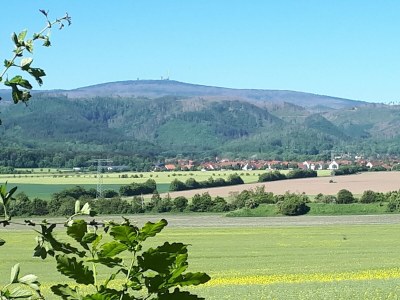 Holiday house Ferienwohnung nahe Wernigerode - Environment photo 30