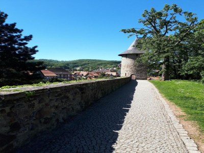 Holiday house Ferienwohnung nahe Wernigerode - Environment photo 33