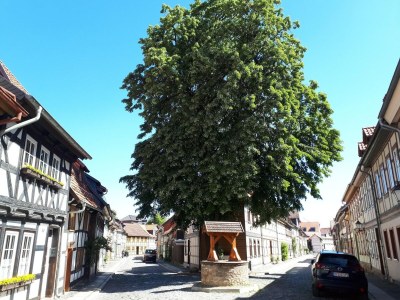 Holiday house Ferienwohnung nahe Wernigerode - Environment photo 36