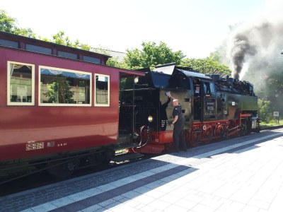 Holiday house Ferienwohnung nahe Wernigerode - Environment photo 37