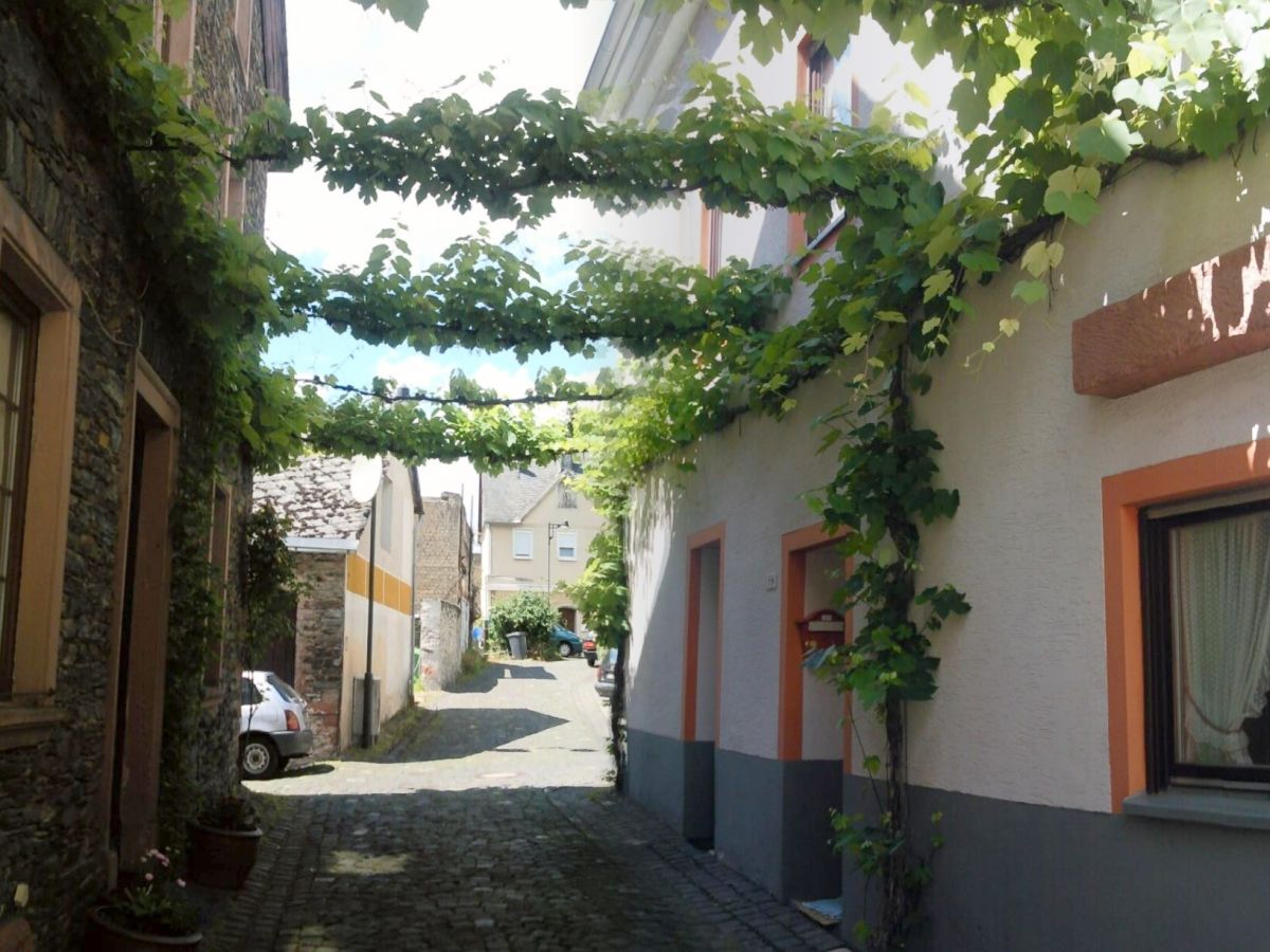 Holiday house Hoffman - Outdoor photo 3