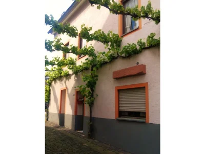 Holiday house Hoffman in Traben-Trarbach - Holiday house