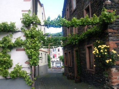 Holiday house Hoffman - Outdoor photo 2