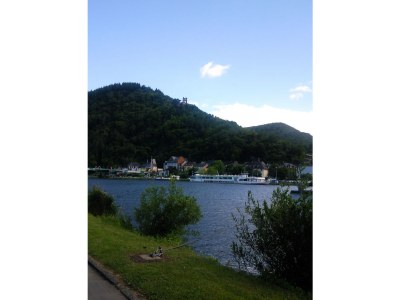 Holiday house Hoffman - Environment photo 13