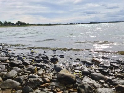 Holiday house 5 Sterne Ferienhaus in Vestervig-By Traum - Outdoor photo 35