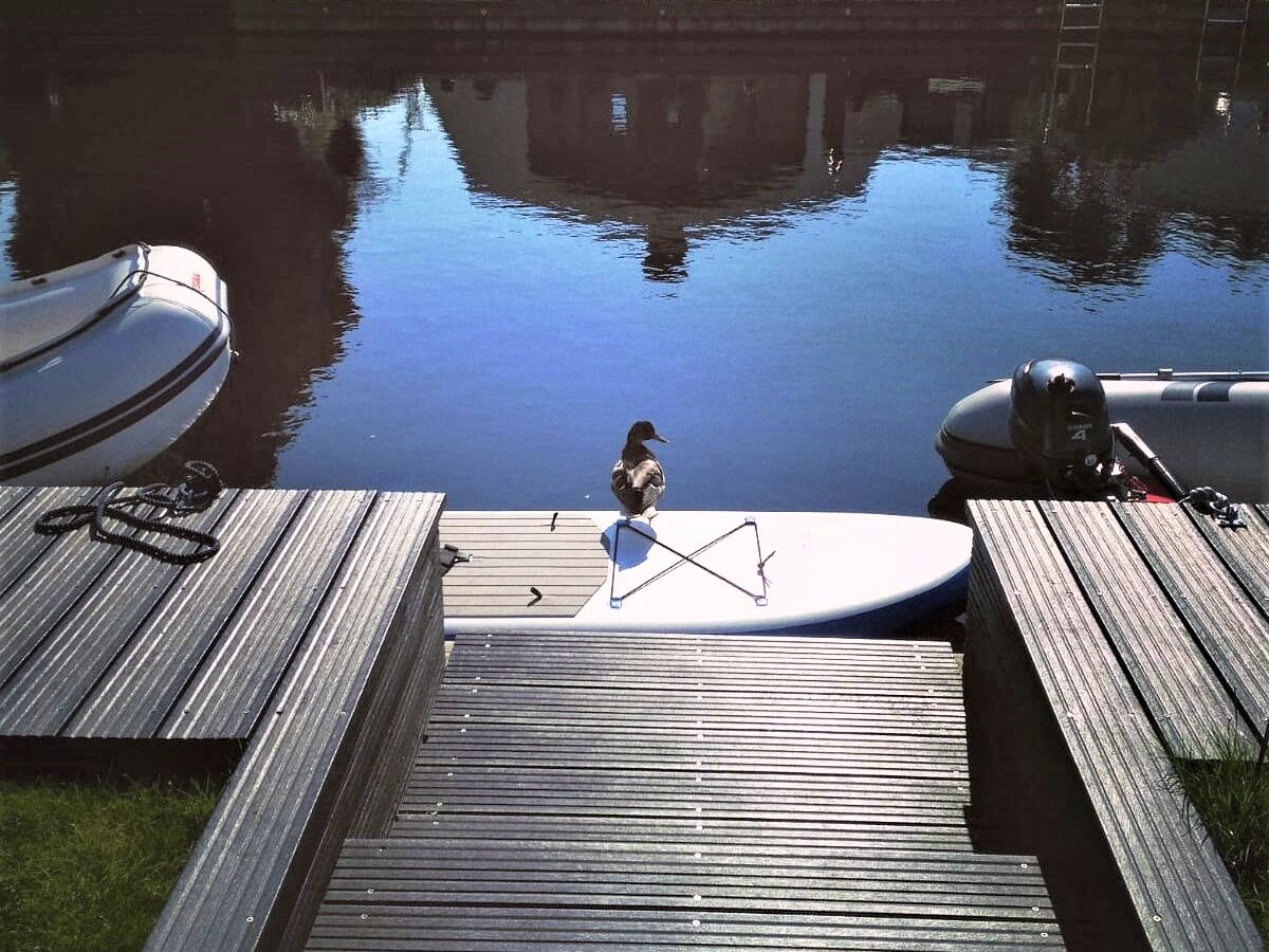 Bungalow Aquaronde MarinaPark Lemmer - Outdoor photo 2