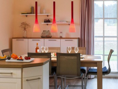 Holiday house Ferienhaus, Fuhlendorf - Features photo 6