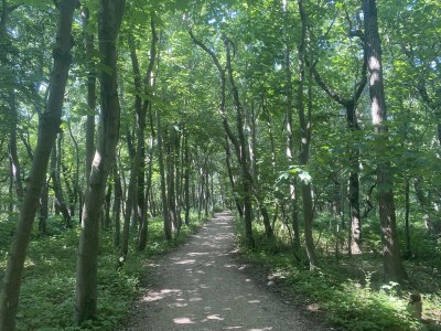 Holiday apartment Höhn 2 - Environment photo 26