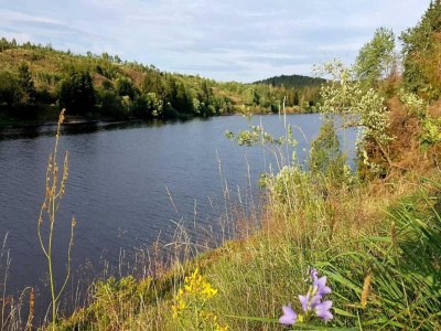 Apartment Ferienwohnung in Elbingerode by BELVILLA - Environment photo 21