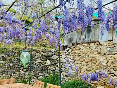 Cottage Miramonte Toscana - Outdoor photo 4