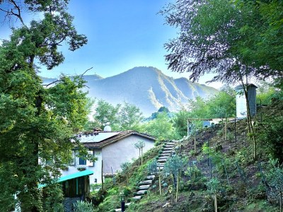 Cottage Miramonte Toscana - Outdoor photo 5