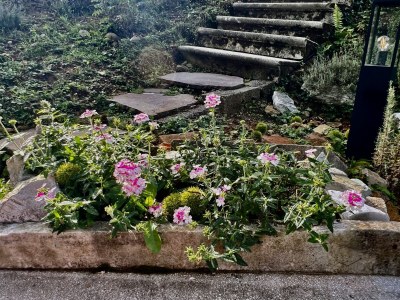 Cottage Miramonte Toscana - Outdoor photo 10