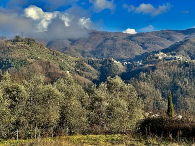 Cottage Miramonte Toscana - Environment photo 32