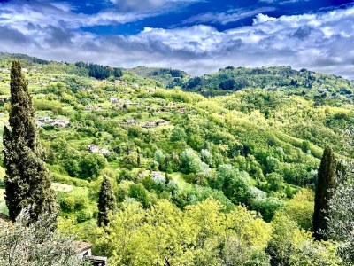 Cottage Miramonte Toscana - Environment photo 33