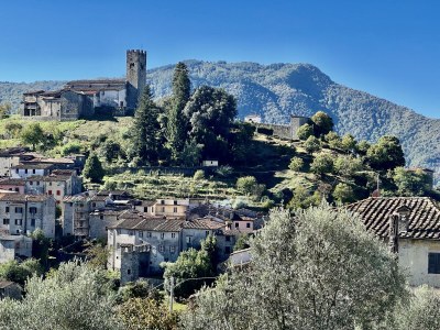 Cottage Miramonte Toscana - Environment photo 35