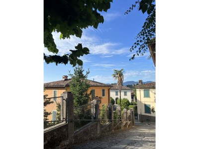 Cottage Miramonte Toscana - Environment photo 36