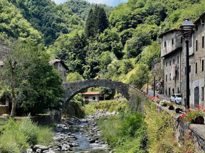 Cottage Miramonte Toscana - Environment photo 37