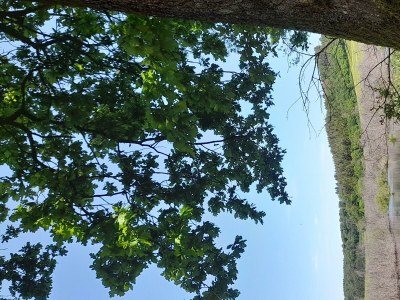 Apartment 4-Bett-Ferienwohnung mit Bad/WC,  bis 6 Pers. - Outdoor photo 12