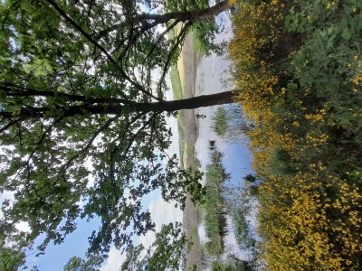 Apartment 4-Bett-Ferienwohnung mit Bad/WC,  bis 6 Pers. - Outdoor photo 13