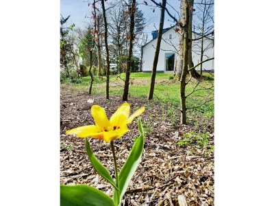 Apartment Ferienhaus, 2 Schlafzimmer Bad/WC für 1-5 Personen - Outdoor photo 17