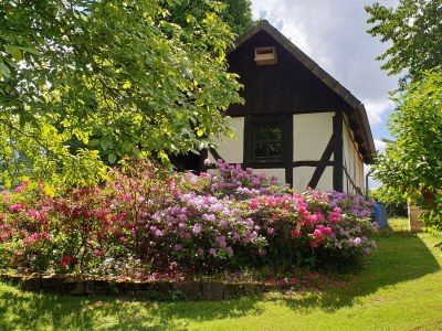 Holiday apartment Wardemann - Outdoor photo 11