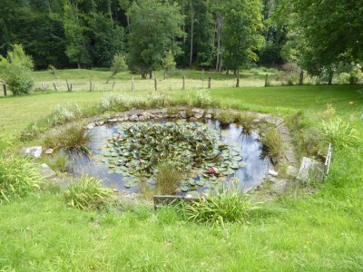 Holiday apartment Wardemann - Outdoor photo 13