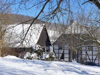 Holiday apartment Wardemann - Outdoor photo 15