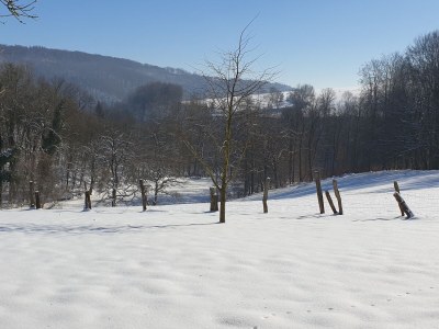 Holiday apartment Wardemann - Outdoor photo 17