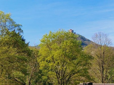 Apartment Ferienwohnung am Panoramaweg - Outdoor photo 24