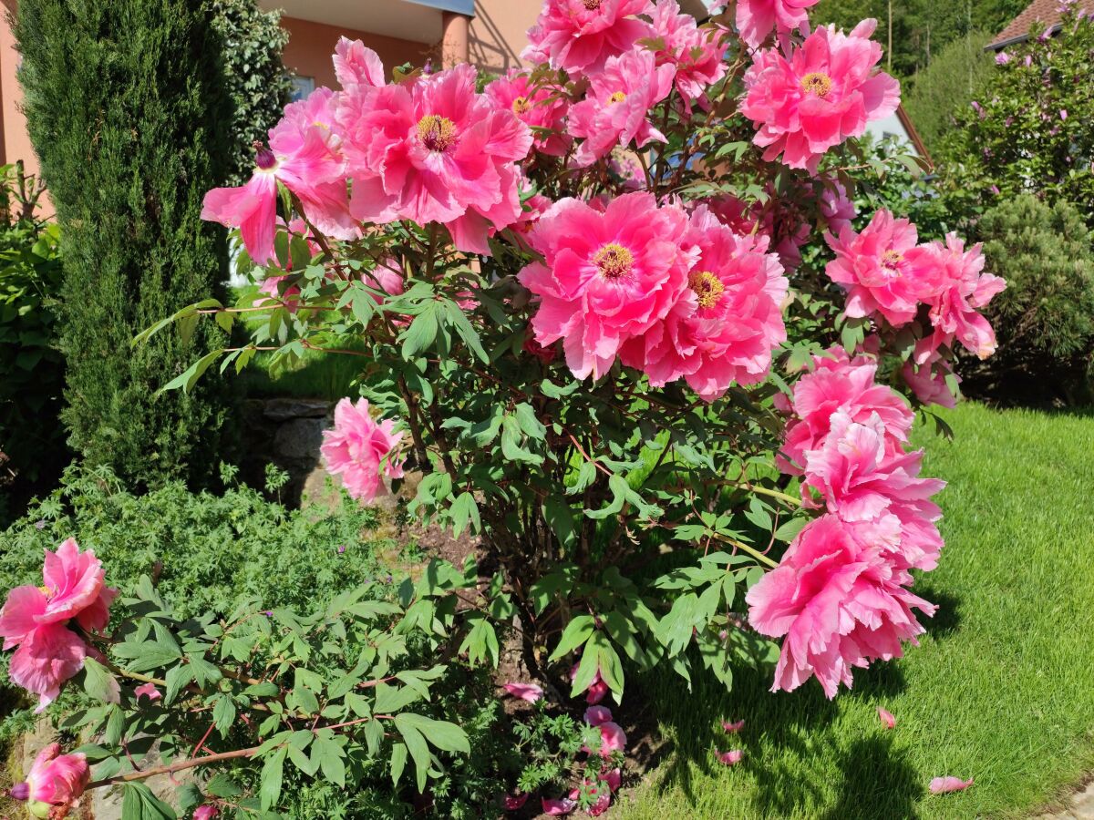 Apartment An der Korkeiche - Outdoor photo 5