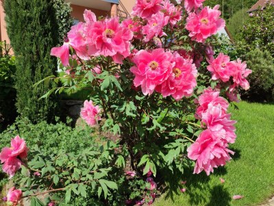 Apartment An der Korkeiche - Outdoor photo 5