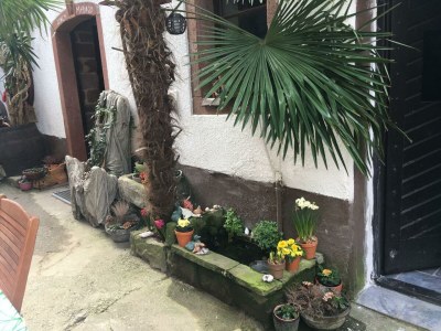 Apartment FeWo 3 - Outdoor photo 2