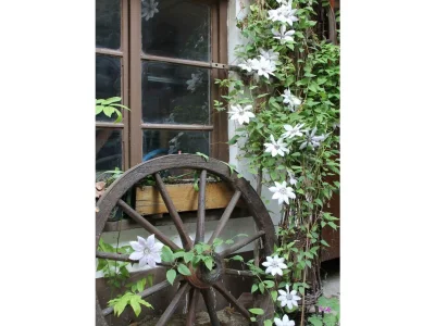 Apartment FeWo 3 - Outdoor photo 3