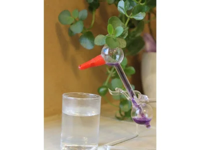 Apartment FeWo 3 - Outdoor photo 10