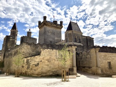 Villa Le Mas - Environment photo 35