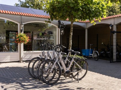 Holiday park Ferienhaus in Brabant mit Garten & Grill - Outdoor photo 38