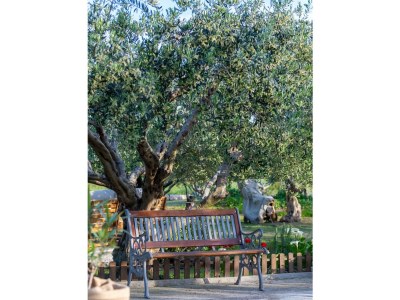 Villa Kucine - Outdoor photo 10