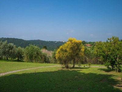 Holiday house Toskana-Aufenthalt mit Pool - Outdoor photo 26