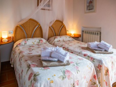 Holiday house Villa with terrace and pool - Features photo 16