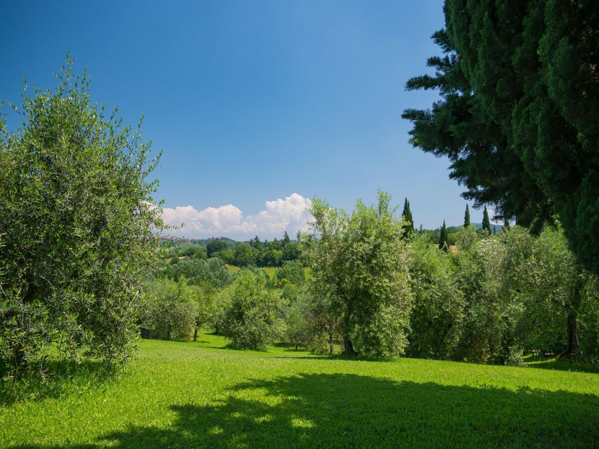 Apartment Rustic Retreat in Tuscany with Pool - Outdoor photo 2